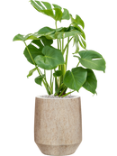 Pot mineral darcy beige