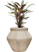 Pot mineral emperor beige