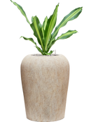 Pot mineral emperor beige