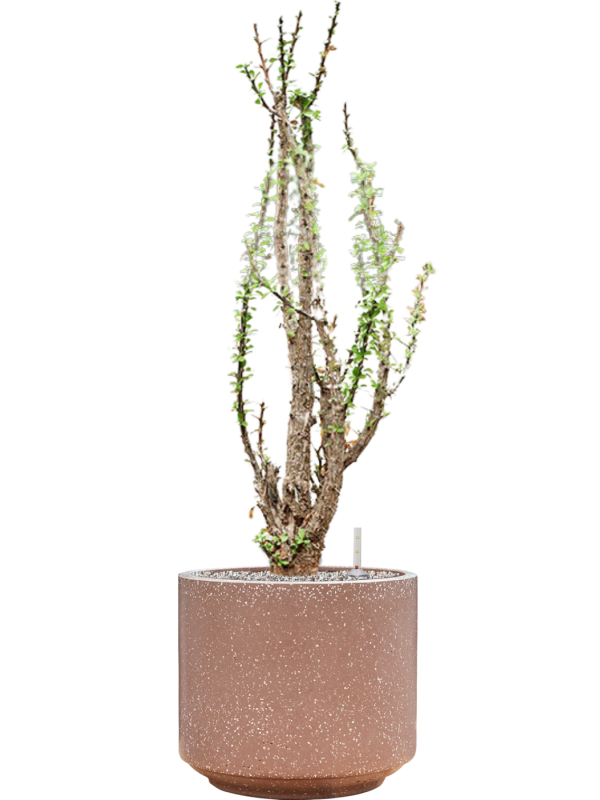 Pot terrazzo cylinder marron