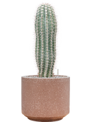 Pot terrazzo cylinder marron