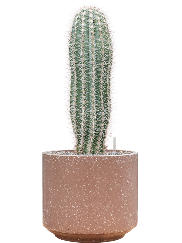 Pot terrazzo cylinder marron