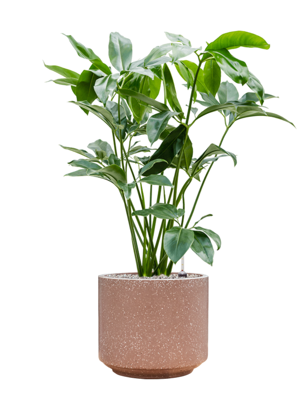 Pot terrazzo cylinder marron