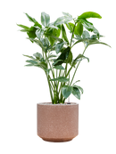 Pot terrazzo cylinder marron