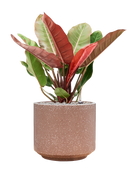 Pot terrazzo cylinder marron