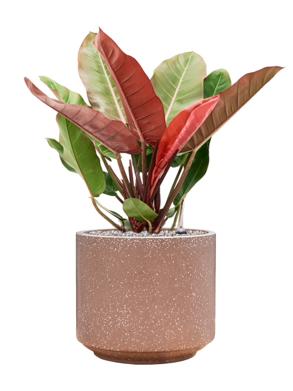 Pot terrazzo cylinder marron