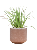 Pot terrazzo cylinder marron