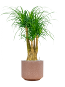 Pot terrazzo cylinder marron