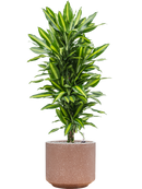 Pot terrazzo cylinder marron