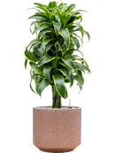 Pot terrazzo cylinder marron