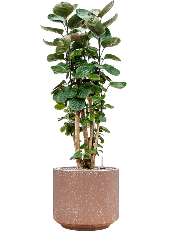 Pot terrazzo cylinder marron