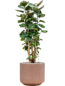 Pot terrazzo cylinder marron
