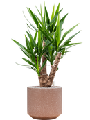 Pot terrazzo cylinder marron