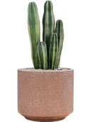 Pot terrazzo cylinder marron