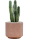 Pot terrazzo cylinder marron