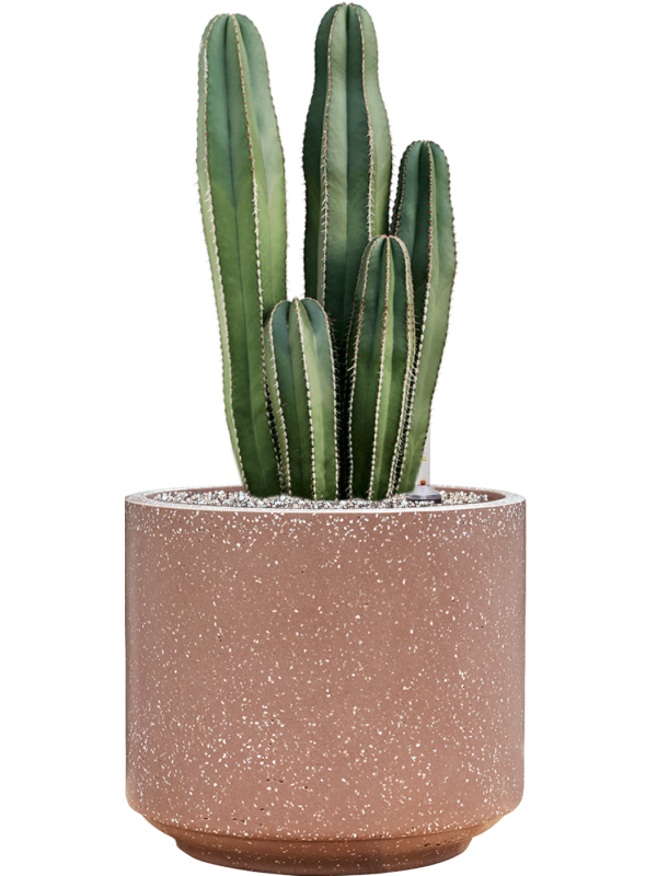 Pot terrazzo cylinder marron