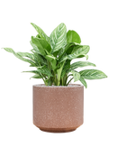 Pot terrazzo cylinder marron