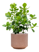 Pot terrazzo cylinder marron