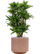 Pot terrazzo cylinder marron