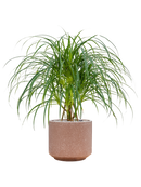 Pot terrazzo cylinder marron