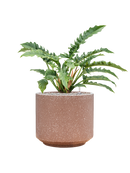 Pot terrazzo cylinder marron