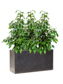 Pot terrazzo rectangle noire