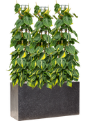 Pot terrazzo rectangle noire