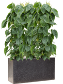 Pot terrazzo rectangle noire