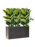 Pot terrazzo rectangle noire