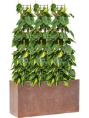 Pot terrazzo rectangle marron