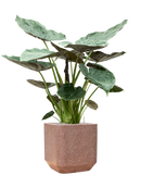 Pot terrazzo cube marron