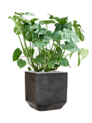 Pot terrazzo cube noire