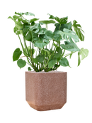 Pot terrazzo cube marron