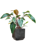 Pot terrazzo cube noire