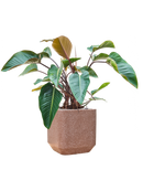 Pot terrazzo cube marron