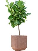 Pot terrazzo cube marron