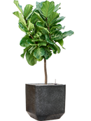 Pot terrazzo cube noire