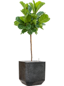 Pot terrazzo cube noire