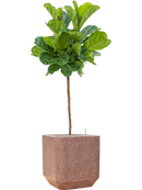 Pot terrazzo cube marron