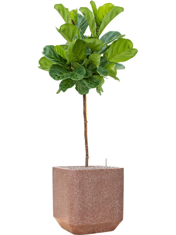 Pot terrazzo cube marron