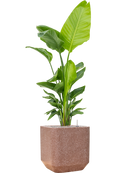 Pot terrazzo cube marron