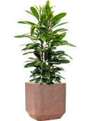 Pot terrazzo cube marron