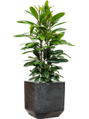 Pot terrazzo cube noire