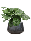 Pot terrazzo darcy noire