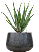 Pot terrazzo darcy noire