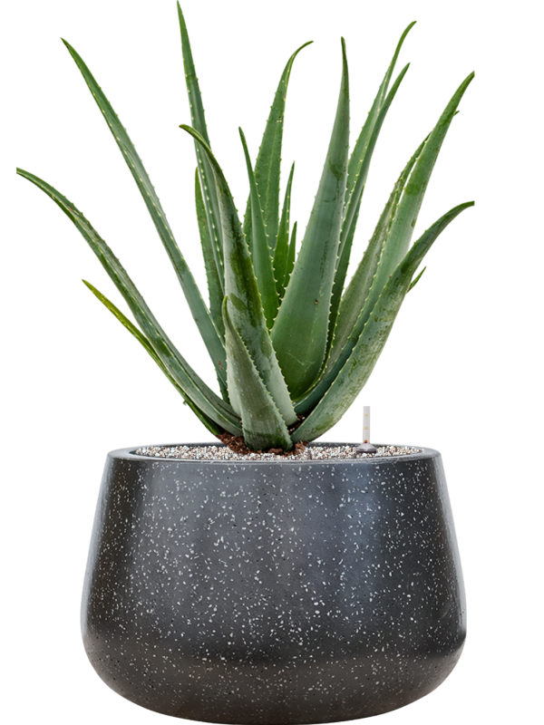 Pot terrazzo darcy noire