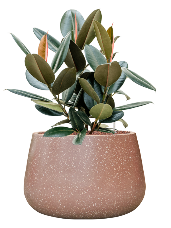 Pot terrazzo darcy marron