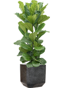 Pot terrazzo cube noire