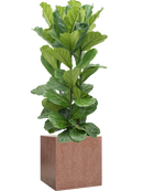 Pot terrazzo cube marron