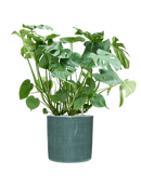 Pot plain cylinder bleue